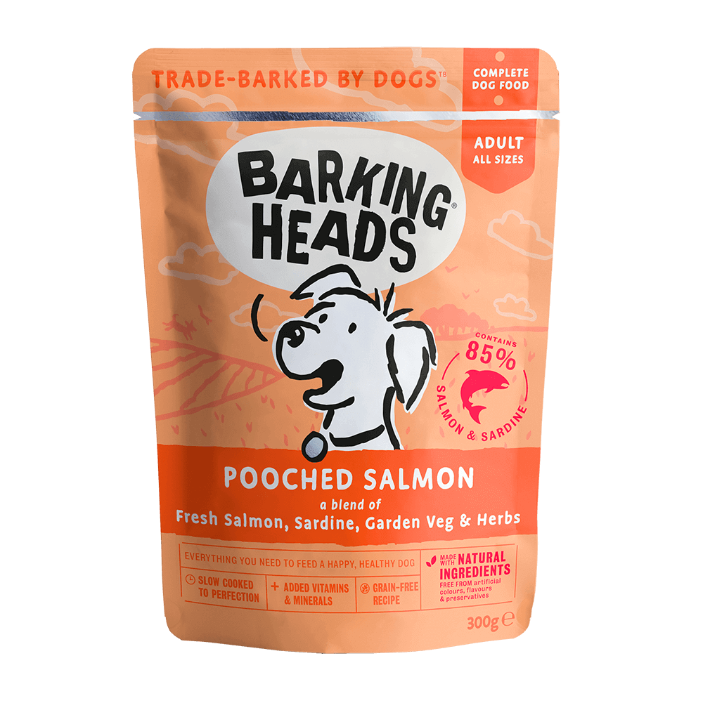 Barking Heads Pooched Salmon x10 Wet Dog Food front of the pack