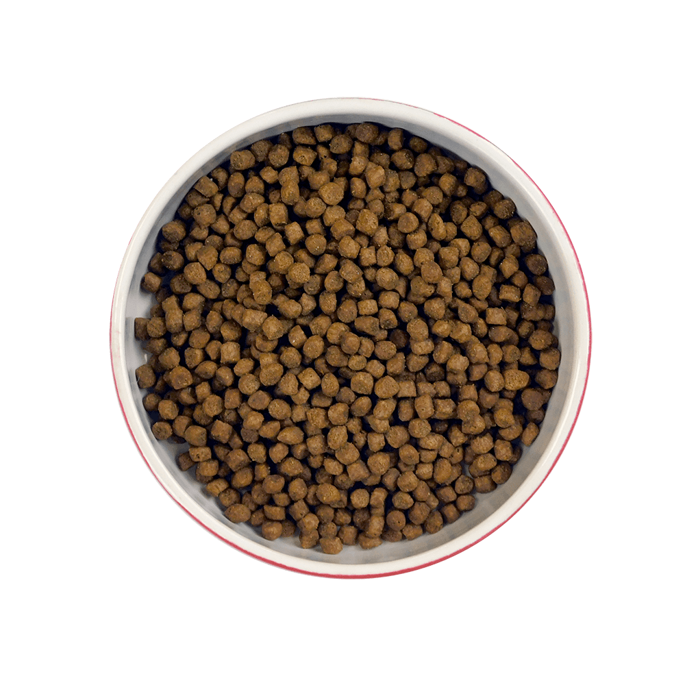 Meowing Heads Smitten Kitten Kibble