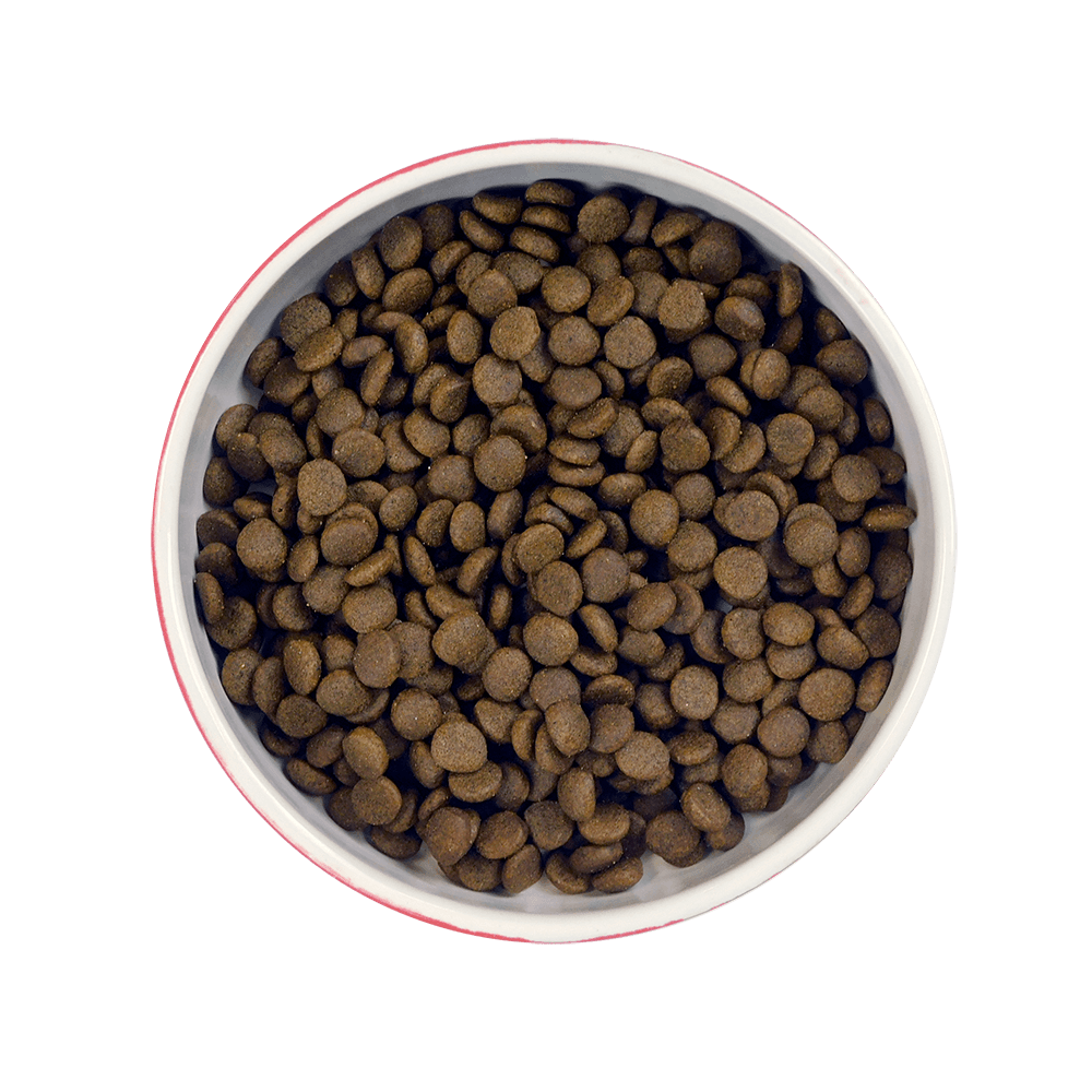 Meowing Heads Senior Moments kibble